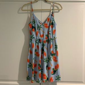 Watermelon skater dress